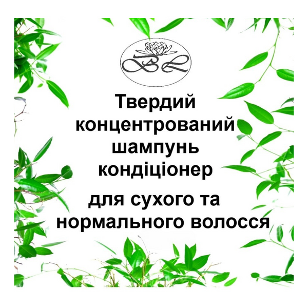 Твердий шампунь без сульфатів 2 в 1 для сухого і нормального волосся концентрований 1186716091 фото